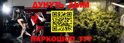 крисы Новокубанск