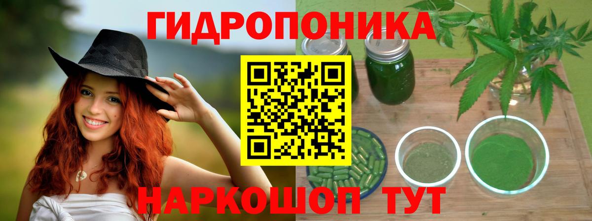 Конопля Bruce Banner Реутов